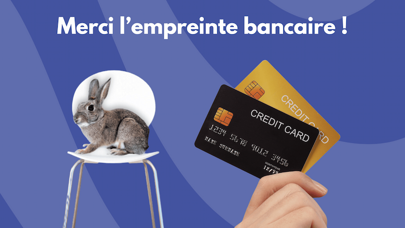 Sécuriser ses revenus grâce à l'empreinte bancaire